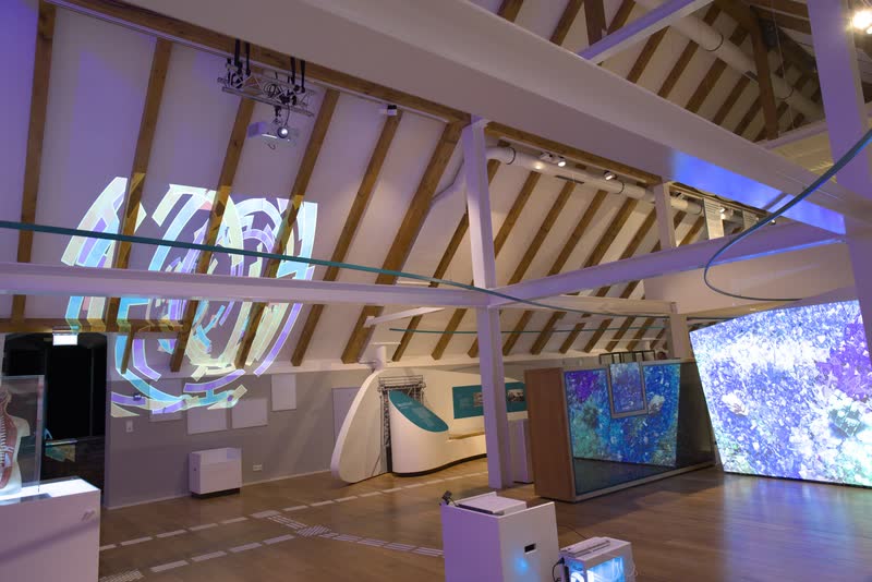 Farbexplosion 在 Westfälische Salzwelten 的布展，2026 年 10 月 17 日