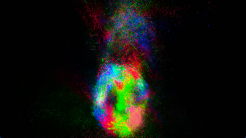 Sculpt Void Full Color – Perlenturm, ビュー 5