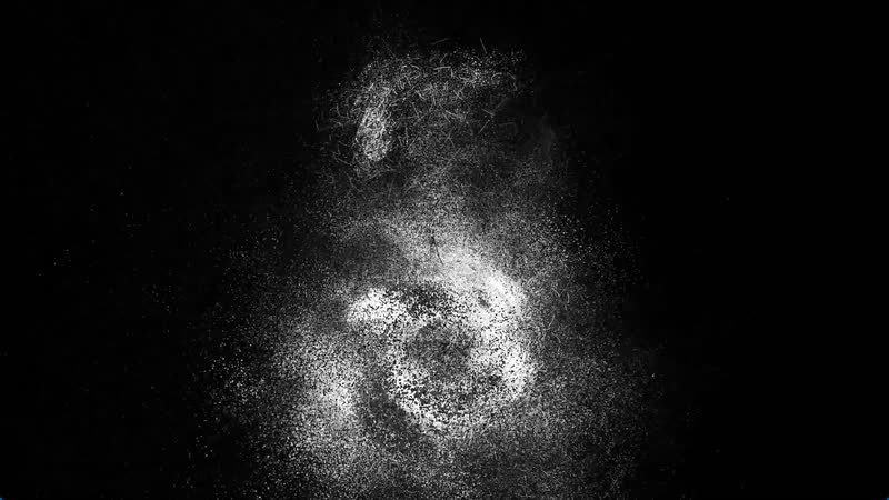 Sculpt Void – Perlenturm, Ansicht 11